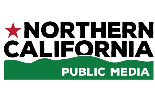 NORCAL PUBLIC MEDIA, Tina Caputo<br>